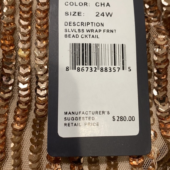 14W-24W Adrianna Papell Woman Size beaded dress - Picture 14 of 14